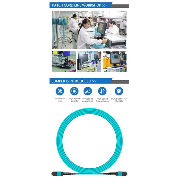 OEM MPO Fiber Optic Patch Cord , Fiber Optic Pigtail For DATA Center