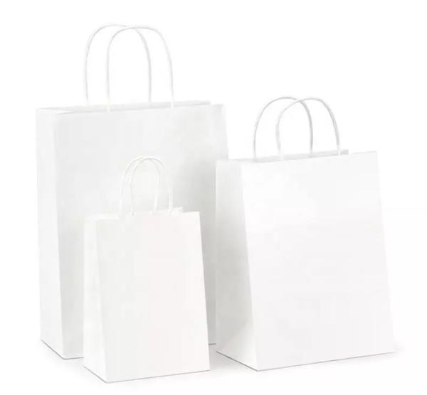 Heat Seal Takeaway Printed Paper Carrier Bags Matt Lamination Recyclable