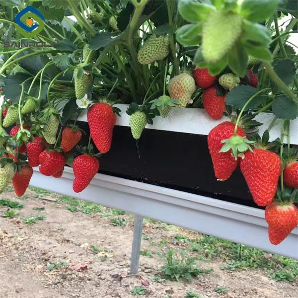 Single Span Commercial Greenhouse Kits Plastic Film Tunnel Greenhouse Stable Structure