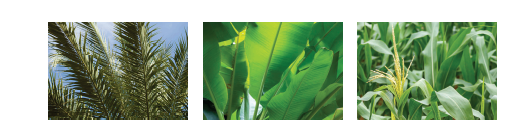 Multi шредер Fuctional деревянный Chipper для отхода 15HP мягкого длинного волокна зеленого