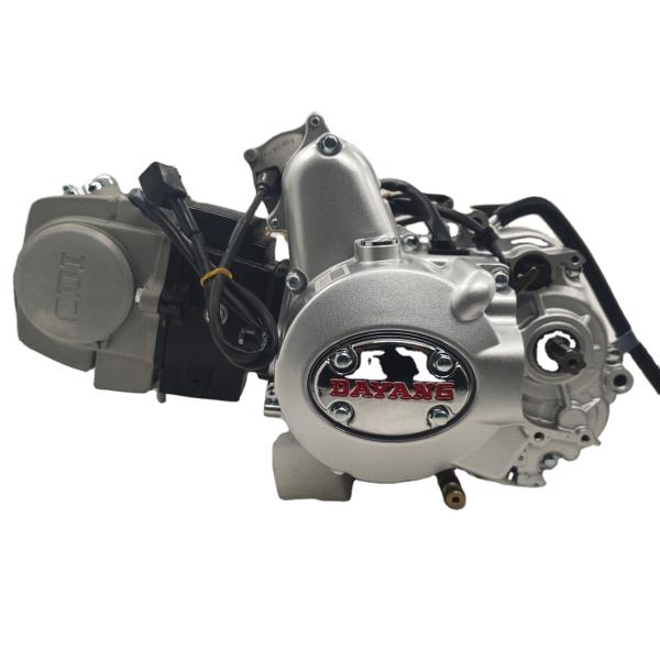 Серебряный DAYANG LIFAN 125CC Nature Ветроохлаждаемый мотоциклет Мотор сборка 3-х колесный грузовой трехколесный одноцилиндровый стиль