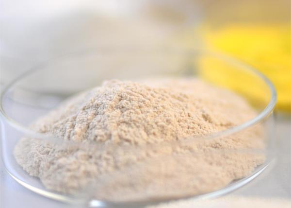 Food Grade Thermostable Alkaline Protease Bioenergy Enzyme Food Enzyme