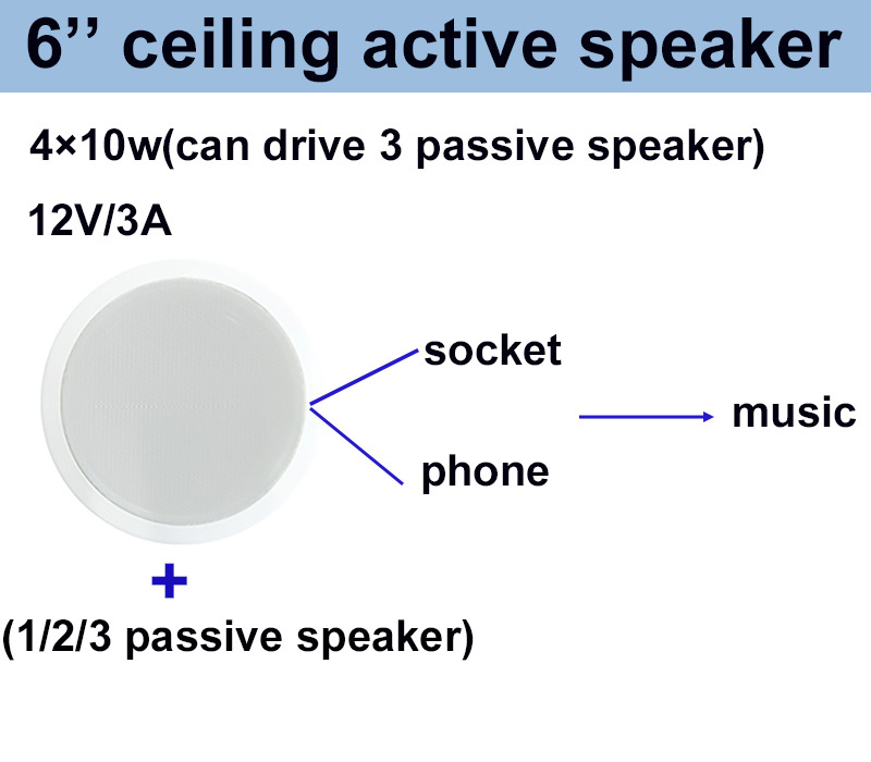 Oval 6 Inch Ceiling Active Speaker ABS Dual Cone 4×10W OEM ODM