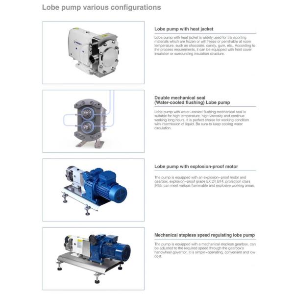 TUR Model Food Grade Bare Shaft Lobe Pump Flange Inlet