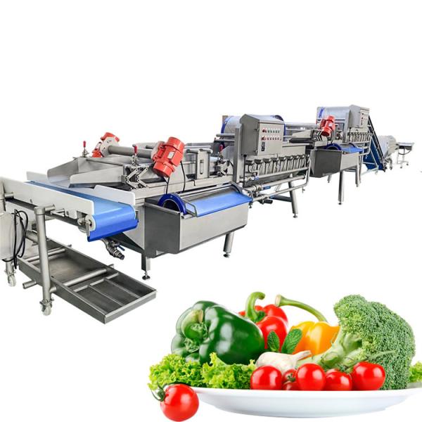 304 Stainless Steel Ozone 2000kg/H Fruit Vegetable Washing Machine