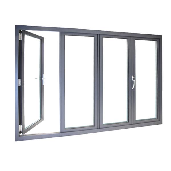 Double Tinted Glass Aluminum Swing Doors Flucarbon With Fiberglass Flyscreen