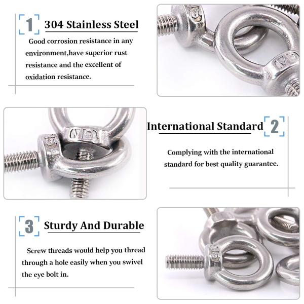 Industry Ring Bolt M6-M36 Eye Bolt with Stainless Steel 304/316 and JIS Standard