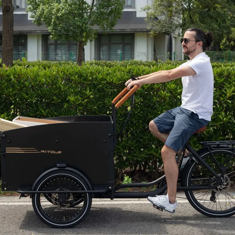 Last Mile Delivery Cargo Bicycle with High Capacity and Brushless Motor