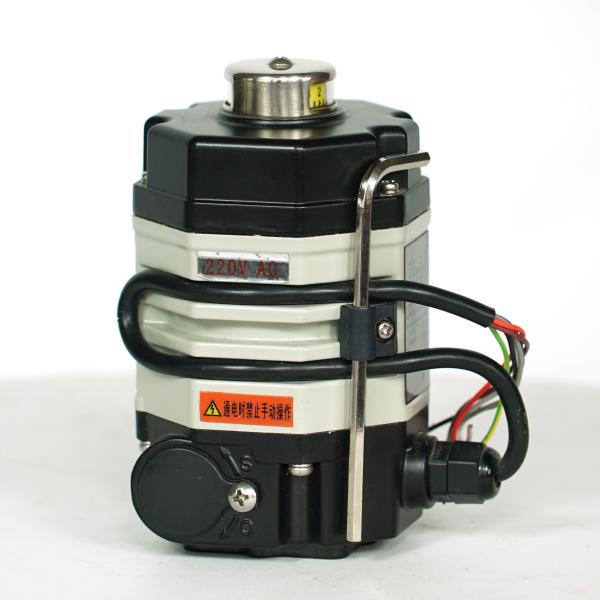 O delicado selou atuador bonde da volta de 24V 18Nm o multi