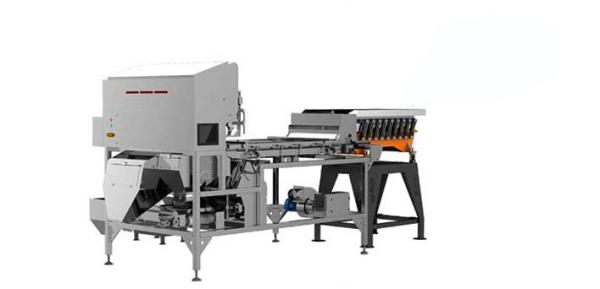 Multispectral Infrared Crawler Sorter Machine For Nut