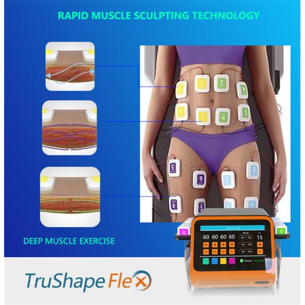 Músculo no quirúrgico que esculpe el cuerpo de la máquina del estímulo del músculo del ccsme que forma la flexión de Trusculpt