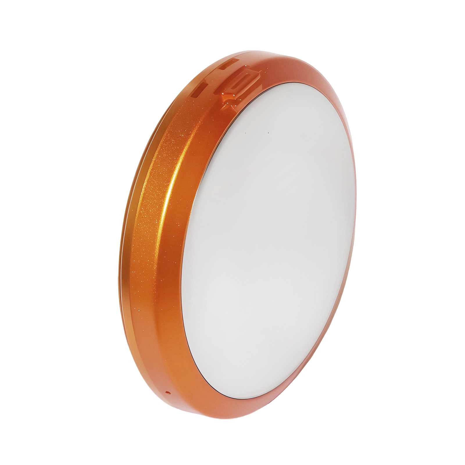 Portable Bluetooth Speaker Equipped With Stainless Steel Hinge