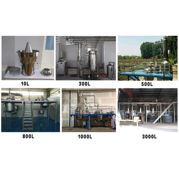 10L Essential Oil Distillation Equipment in Stainless Steel Color for Jasmine Oil Extraction
