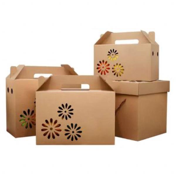 Dustproof Fruit Corrugated Paper Box With Handle Recycled Durable