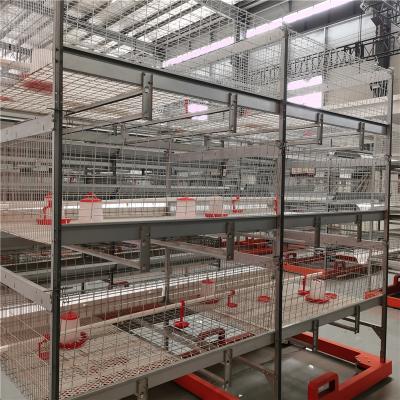 U Shape Steel Broiler Chicken Cage With PVC Pipe , Nipple Drinker