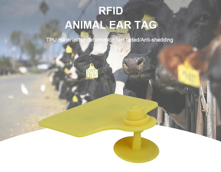 Программирование RFID тегов TPU для легкого отслеживания и мониторинга активов коров, коз, коров и овец
