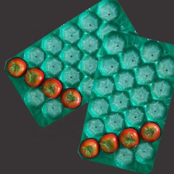 Wholesale Fruit and Vegetable Packing Alveoli Tray Apple Mango Kiwi Avocado Plastic Packing Tray