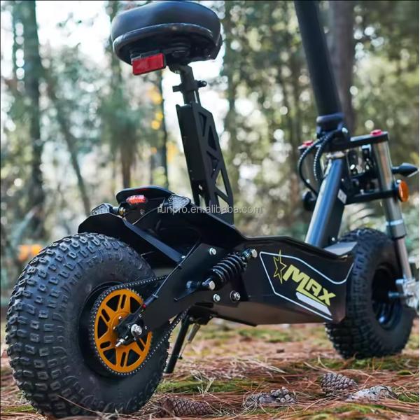 Off Road 2000W 3000W Mobility Electric Scooter COC EEC Brushless Motor 10inch Hub Motor Electric Scooter Motor Bike with CE