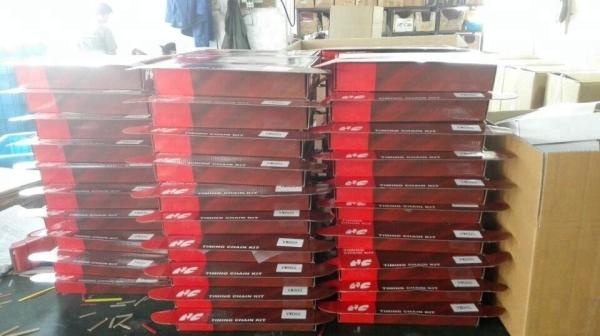 Bz 009 Mercedes Benz Engine Parts Timing Kit OEM 1609970594 1609970494
