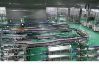 La bouteille de machine de remplissage raye 304 solides solubles aèrent le système de convoyeur