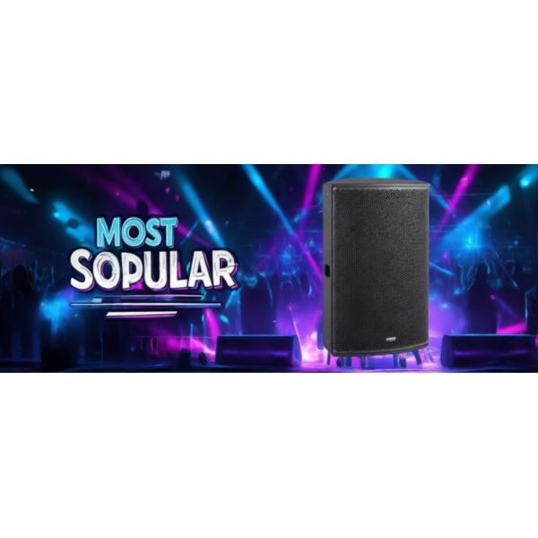 Power Clarity Impact 15-Inch 600w Pa Speaker For Halls Churches & Auditoriums – High-Performance Sound System For Africa