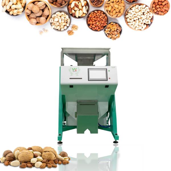 Wenyao Multifunction Hazelnut Color Sorting Machine CCD Camera Nut Color Sorter