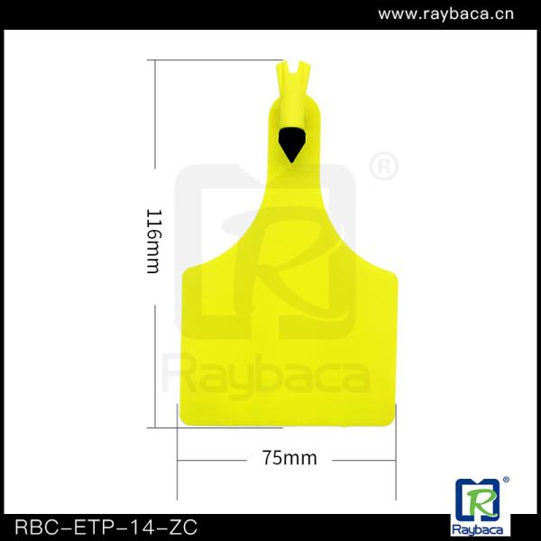 Z Tags Shape One Side Yellow Colour Visual Livestock Ear Tags For Cattle