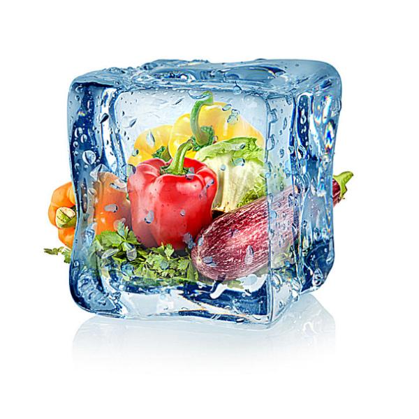 US Type Commercial Kitchen Refrigeration Commercial Grade Refrigerator For Restaurant