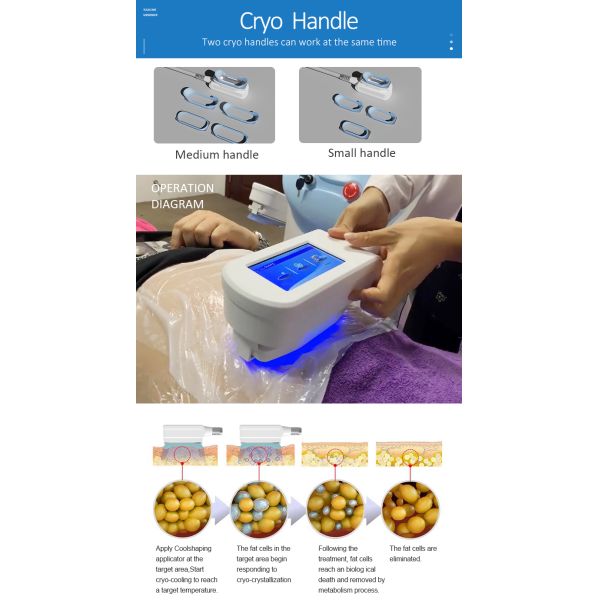 Non Invasive 360° 1600W Cryolipolysis Machine CE Certified