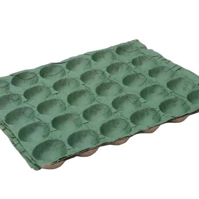 Bulk Selling 30-Hole Apple Packaging Tray Fruit Liners PP Material Tray Paper Liner Supplier