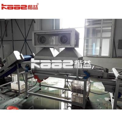 Turnkey Project Dates Drying Machine 500kg/H Date Syrup Palm Dates Production Lines