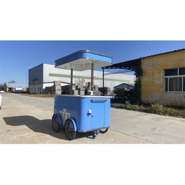 Mobile Gastronomy Unveiled Exploring the World of Tricycle Food Carts
