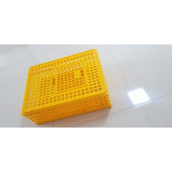 Commercial Farm Polypropylene Chicken Transport Cages