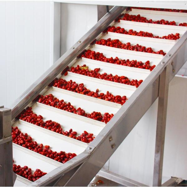 Multilayer Dates Belt Drying Equipment PLC Control Circulating Hot Air Heating