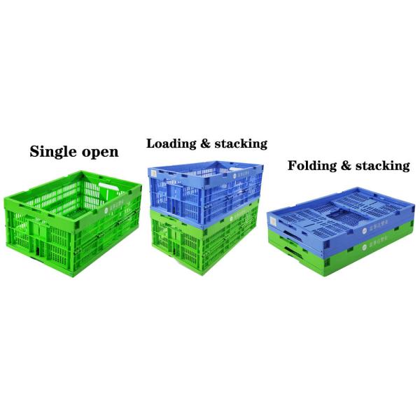 Ventilated Custom Plastic Crates For Agriculture & Warehouse Logistics