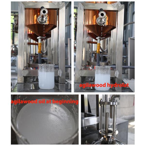 220V/380V Voltage Jasmine Essential Oil Extractor Machine Lavender Steam Distillation Equipment