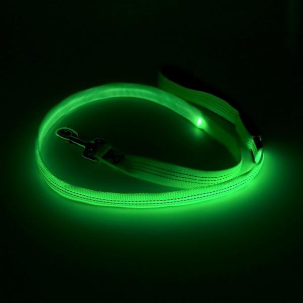 ODM reflexivo recarregável do OEM da noite da polegada 120cm da trela 47,2 do cão do diodo emissor de luz de USB disponível