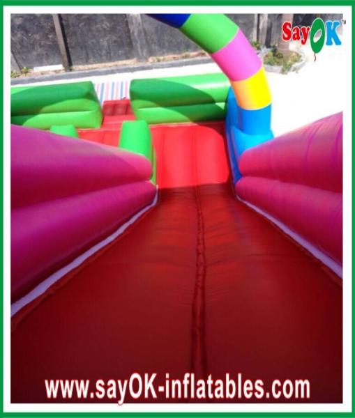 Les glissières gonflables de l'eau font le clown glissière de Theme Inflatable Bouncer multicolore pour le parc d'attractions