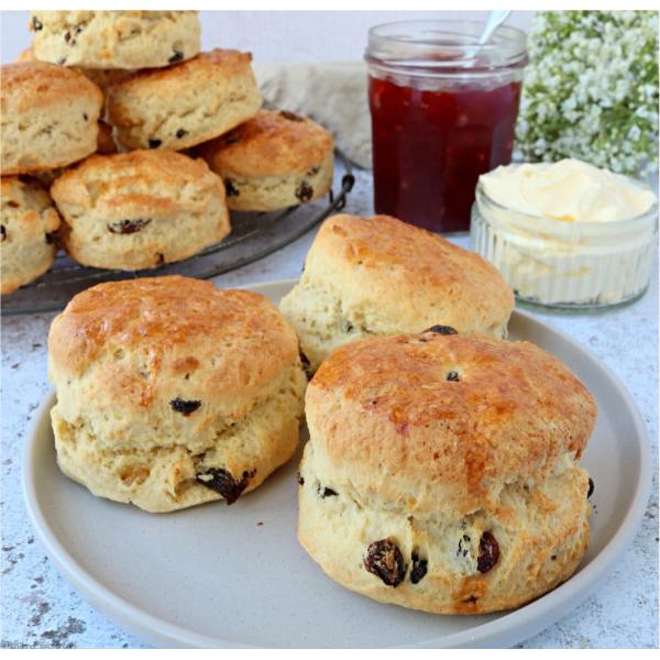 Papa P160 Automatic Encrusting Machine Stainless Steel For Food Processing