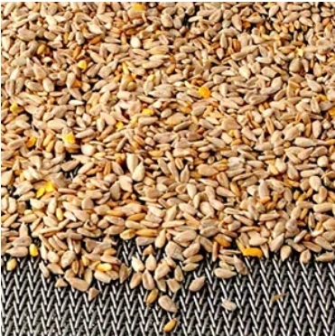 Herringbone Compound Weave Mesh Conveyor Belt Stainless Steel Wire Belt for Stable Product Flow