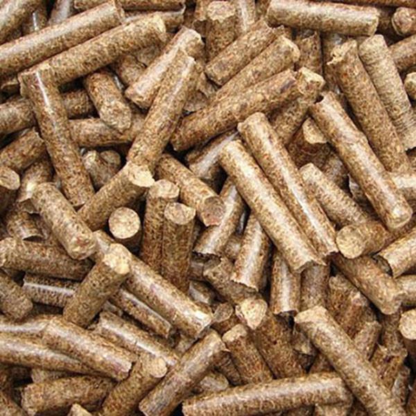 200kg/H To 300kg/H Small Feed Pellet Mill For Chicken Farming Plant