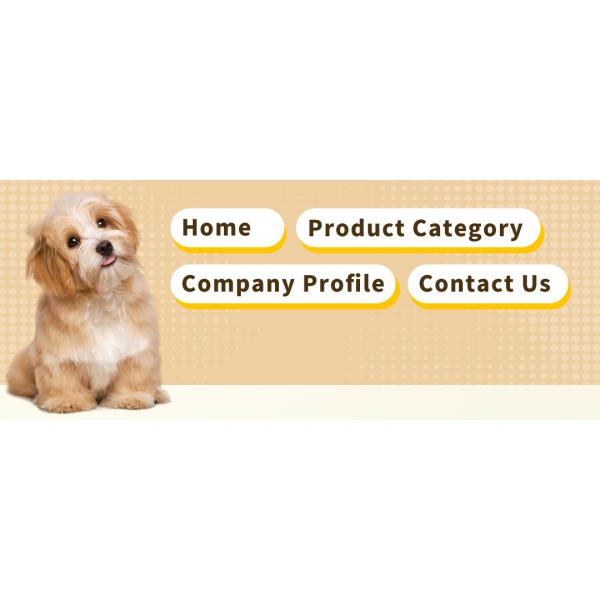 Sustainable and Leak-Proof Disposable Dog Pee Pads Fast Drying Pee Mats for Everyday