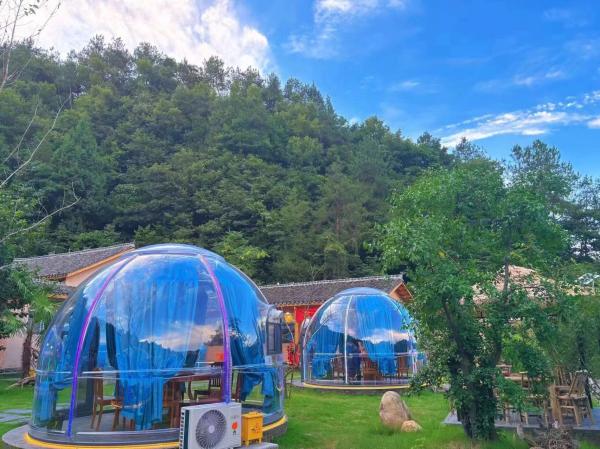 Full House Glamping Clear Pc Tents Polycarbonate Bubble Tents Bubble Dome House