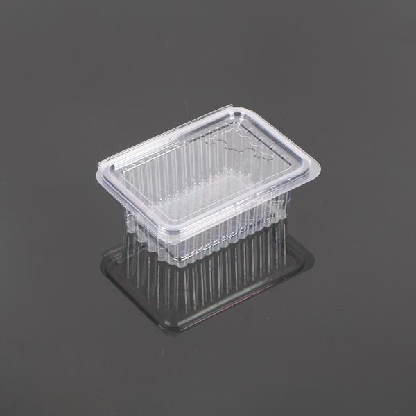 Hengmaster Food Grage Disposable Plastic Honeycomb Container Disposable PET Snack Tray