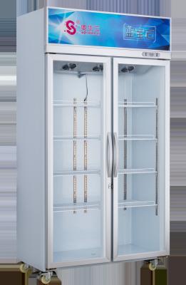 Silent Compressor Commercial Display Refrigerator Low Noise Double Door Glass Fridge