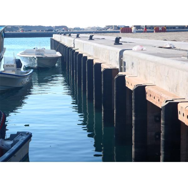 Mould or Extruded DD Rubber Bumper Fender D Shaped Solid Rubber Fender