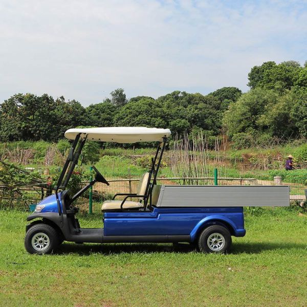 CE Approved Green 48V Trojan Hotel Buggy Car , 2 Seats Electric Utility Golf Carts