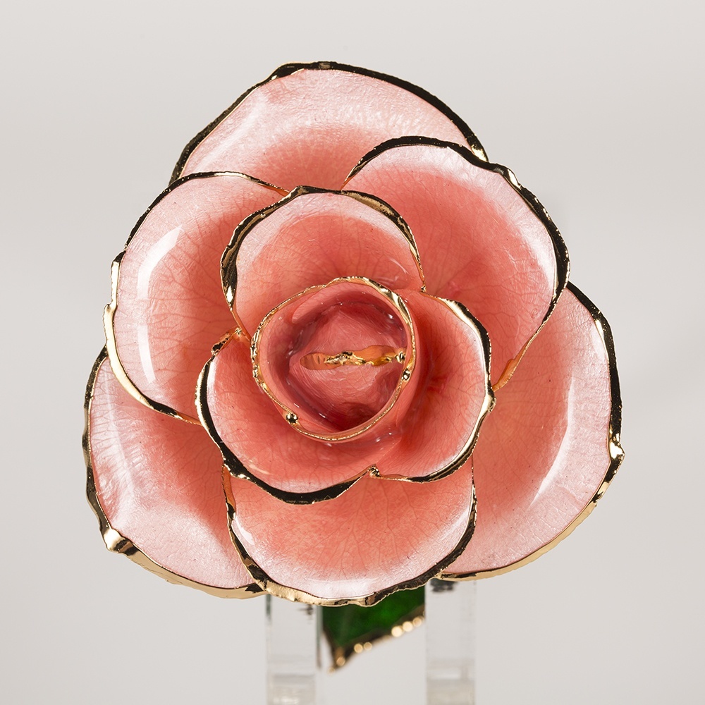 Wholesale Real Rose Dipped 24k Gold  Preserved Fresh Flower Peach pink Everlasting Rose for Valentine's Day, Birthday Gifts