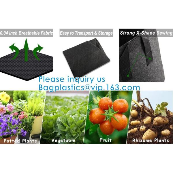 Smart Grow Bags For Potato/Plant Container/Aeration Fabric Pots With Handles Fabric Plants Pots with Handles, Indoor
