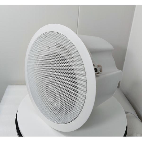 Coaxial Flush Mount Ceiling Speaker 8 Ohm Impedance Waterproof